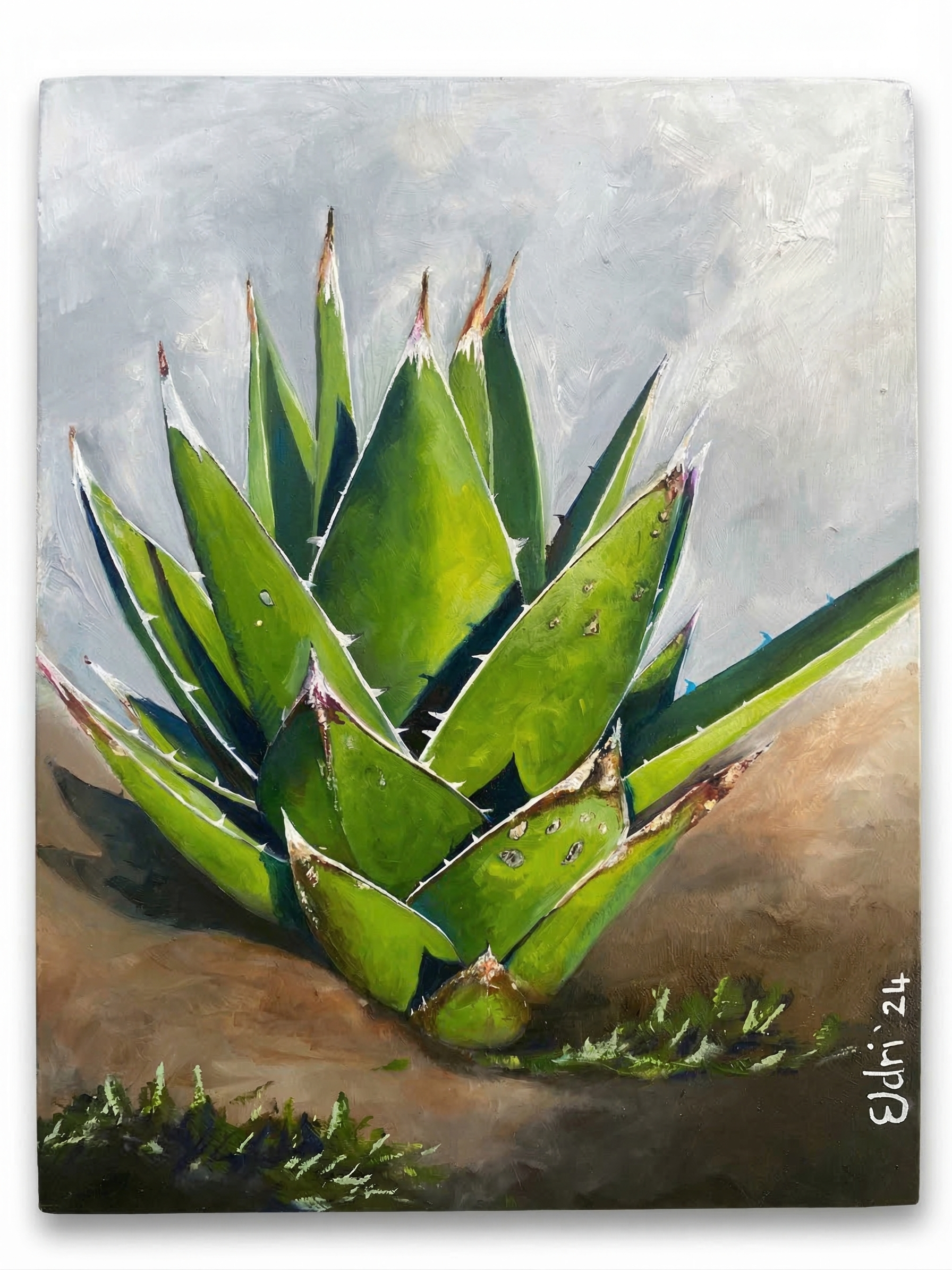 Agave rosette botanical painting in green against grey background