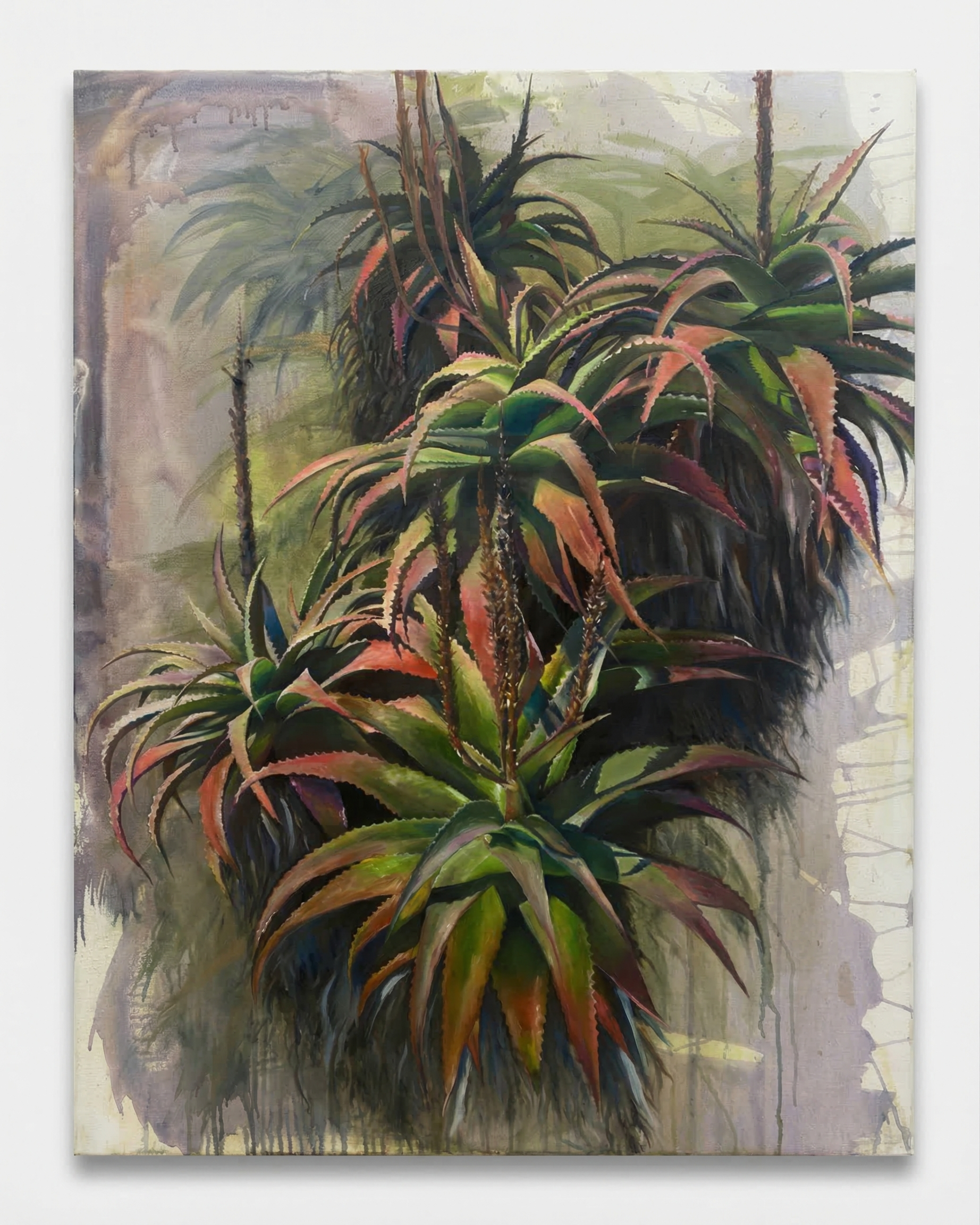 Aloe cluster with flower stalks, paint drips, contemporary botanical
