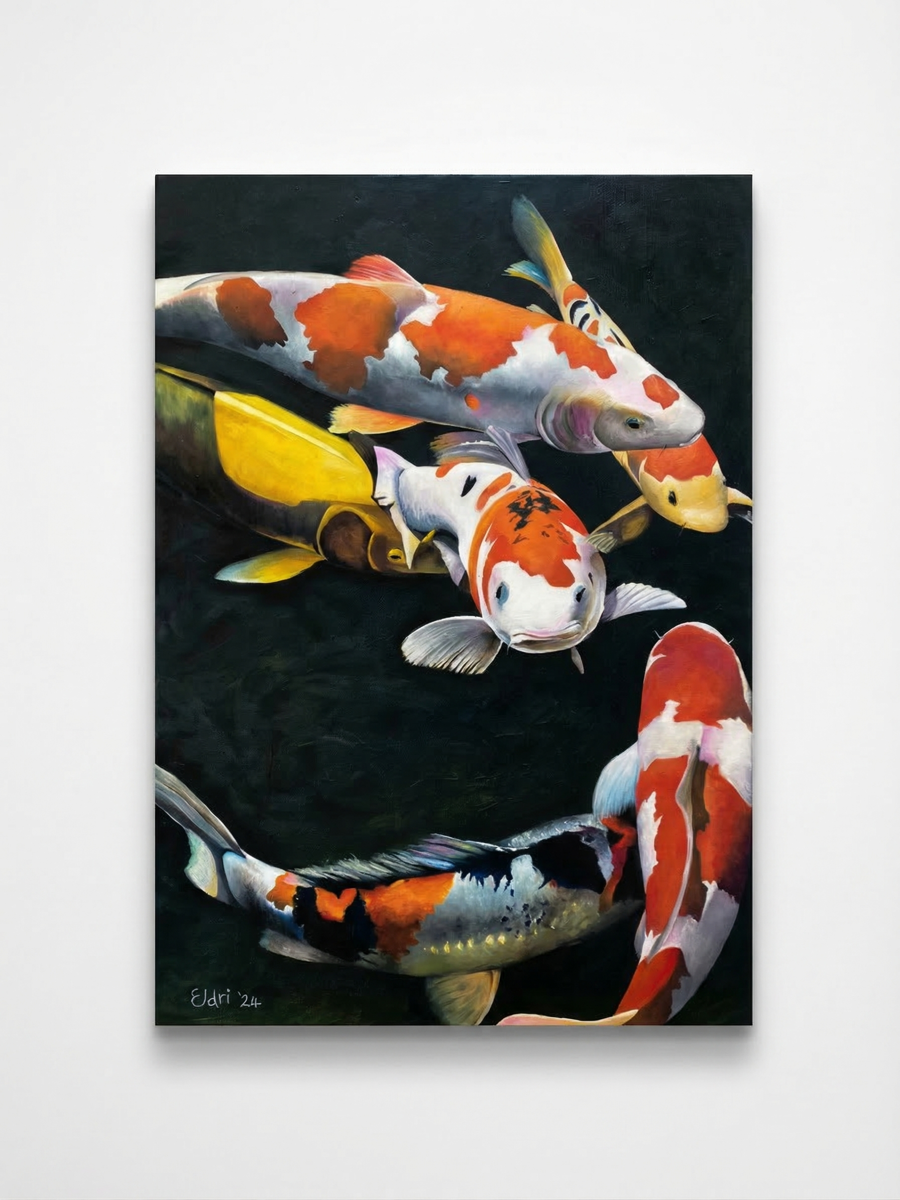 Overhead view of koi fish, orange white and black on dark water